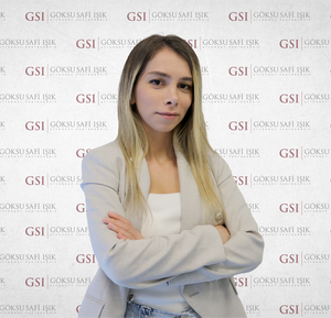 Ms. Sinem SALTIK